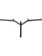 Gyps 249 Gidon 1