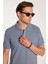 Erkek Slim Fit Dar Kesim %100 Pamuk Füme Polo Yaka Tişört 1