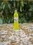 Limon Özü 2* 700 gr Net 1400 gr 1