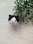 Elite Amigurumi Kedi Anahtarlık 1 Adet 1