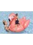 Pembe Flamingo Şekilli Şişme Deniz Yatağı | 138X107 cm | 3+ Yaş Çocuk Havuz Oyuncağı 1