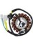 Stator Komple Honda Cbf 150 2010 1