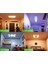 Skylight Başlangıç Seti,3 LED Rgbcw Akıllı Tavan Aydınlatması, 16 Milyon Renk, 3