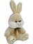 35 cm Tavşan Peluş -Hly 1