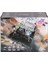001E Kumandalı 4x4 Fırçası Motor 1:14 Gaser Arazi Aracı -Gepettoys 2