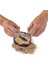NAT06002 National Geographic Dino Kazı Kiti - Rtngdıno2 +8 Yaş 2