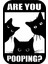 Kaka Mı Yapıyorsun? Kedi Banyosu Işareti P983175 1