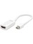 Dısplay Mını To Hdmı F Çevirici 4K 30Hz Thunderbolt2 Beyaz HDX7768 1