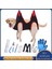 Bk 11 Adet L Pet Bakım Hamak Yardımcı Budama Seti Tarak Tırnak Makası Kısıtlama Çantası Yavru Köpek Kedi Yavrusu Paws Bakım Kırpma Banyo Çantası (Yurt Dışından) 2