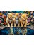 1000 Parça Little Kings Illusions Puzzle - Aslan Kral Kedi Yapboz 68X48 cm 2