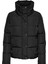 Kadın Jacket Mont 15196546 3