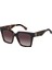 Tommy Hılfıger 2100/S 086HA 53-19 1
