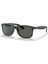 RAYBAN 4202 606971 55 1