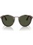 PO3166S 24/31 51 Unisex Güneş Gözlüğü 5
