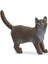Elite Schleich British Shorthair Kedi, Oyuncak Figür 1 Adet 1