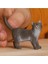 Elite Schleich British Shorthair Kedi, Oyuncak Figür 1 Adet 2