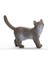 Elite Schleich British Shorthair Kedi, Oyuncak Figür 1 Adet 4