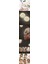 Turk Gold Saç Topuz Süngeri 2 Adet 10 cm Çap 4 cm Kalınlık - MCT6487-5970 2