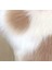 50CM Sevimli Kedi Pençe Yastığı Kawaii Panda Pençe Yastık Kanepe Araba Ev Dekoru Yumuşak Peluş Doldurulmuş Oyuncak Doğum Günü Hediyesi Arkadaşlar Için | Peluş Yastıklar (Yurt Dışından) 3