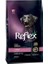 Biftekli High Energy Yetişkin Köpek Maması 15 kg 1