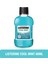 Cool Mint 80 ml 1