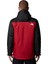 M Mıllerton Insulated Erkek Mont NF0A3YFI7I11 2