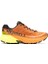 Merrel Agılıty Peak 5 Gtx Kadın Ayakkabı J068101 1
