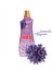 Konsantre Yumuşatıcı 1. 5 L Lavanta Büyüsü 1