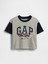 Erkek Bebek Koyu Gri Baby & Toddler Oversized Hot Wheels Grafik T-Shirt 1