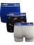 Çok Renkli Erkek Boxer - Dzn9106 2