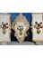Çiçekli Tablo 3lü Set 45CM 4