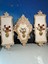 Çiçekli Tablo 3lü Set 45CM 8