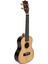 HK-224RW Rosewood Concert Ukulele Set (Softcase-Askı-Method-Pena Hediyeli) 3