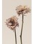 |krem Kuru Çiçek (Drıed Flower) Modeli|çerçeveli Temperli Cam Tablo Tekli Dikey 2