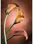 |retro “arum Lily” Modeli 02 |çerçeveli Temperli Cam Tablo Tekli Dikey 2