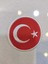 Türk Bayrağı Arma Patch, Peç, Yama 5’li Set 2