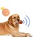 Köpekler Için Oyuncak Tavuk Budu (5064) 3