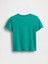 Erkek Bebek Koyu Yeşil Grafik Baskılı T-Shirt 2