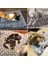 Ayı Tarzı Pembe 32X25CM Köpek Yatağı Matı Evcil Hayvan Battaniye Matı Kedi ve Köpekler Için Kalın Evcil Hayvan Polar Yatak Matı Yavru Köpek Kanepe Yastık Yatak Örtüsü (Yurt Dışından) 5