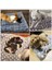 E Stili 51X34CM Köpek Kedisi Için Yumuşak Pamuklu Kalın Kapitone Evcil Hayvan Yumuşak Polar Yatak Matı Pet Battaniye Yatak Için Kedi Koltuk Yastığı Petler Sıcak Tutma Uyku Örtüsü (Yurt Dışından) 2
