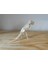 T-Rex 3D Dinozor Puzzle Maket Kiti 29 Parça | Kurulabilir Oyuncak Iskelet | Hobi Eğitim Koleksiyon 2