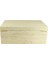 Concrete Sedir Humidor Puro Kutusu 4