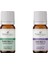 Kule Tipi Vantilatör – Sessiz Çalışma, 3 Farklı Hız Ayarı, Zamanlayıcılı Serinlik + Okaliptüs ve Lavanta Uçucu Yağ 10 ml %100 Saf Ve Doğal Lavender Essential Oil 6