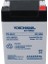 Yh-46.0 4 Volt - 6 Amper Akü (68X45X95 Mm) 3