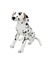 01411 Dalmaçyalı 68 Cm. Peluş 1