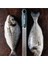Premium Classic Zester Koyu Gri 46743E 4