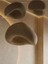 Stone Mushroom Avize 35 cm 3