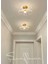 Luxury Classics Avize Şeffaf Camlı Avize Plafonyer Tavan Avize E-27 Duy 3