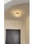 Luxury Classics Avize Şeffaf Camlı Avize Plafonyer Tavan Avize E-27 Duy 4