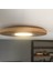 Yuvarlak Meşe Kaplama LED Tavan Aydınlatması 33CM, Yatak Odası, Koridor, Banyo Lambası - Gün Işığı 2